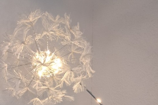 Pusteblume mit Licht-001.jpg